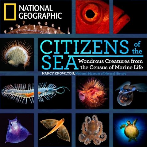 Citizens of the Sea by Nancy Knowlton 
